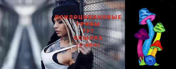 спиды Алзамай