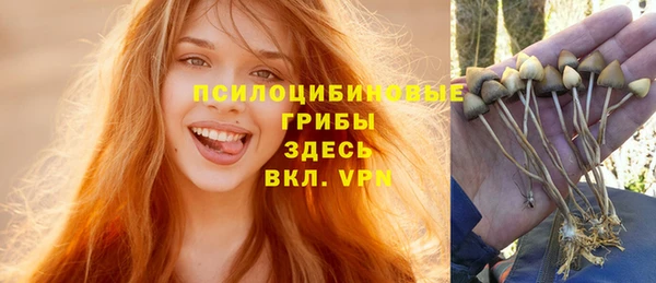 гидра Алексин